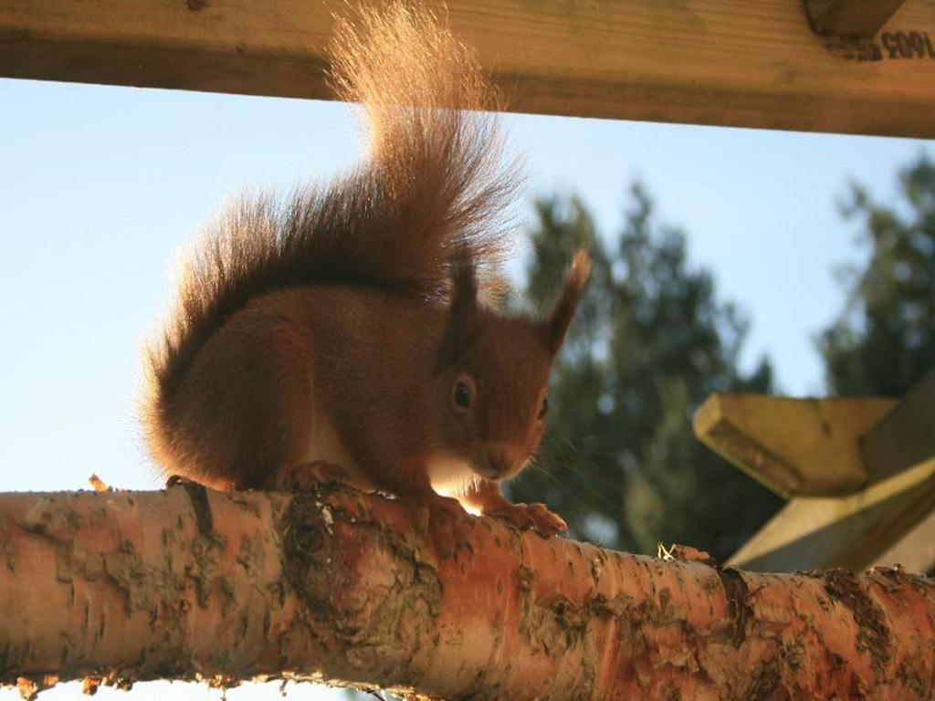 Tullochwood Lodges Forres Pokój zdjęcie